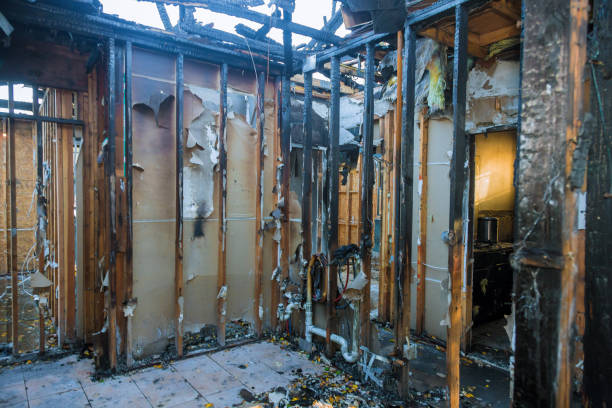 Professional Odor Removal technician working in Mona, UT
